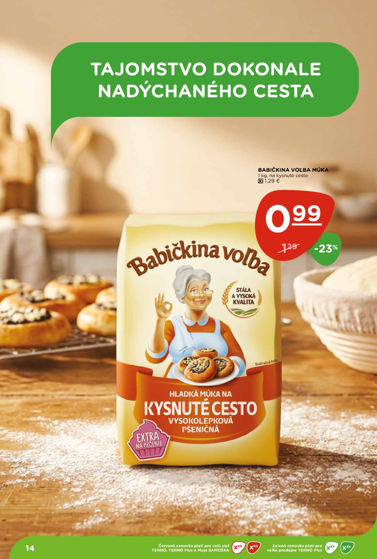 Terno leták