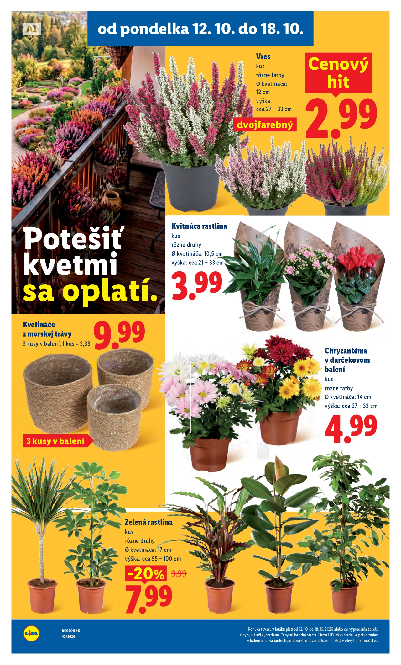 Lidl leták