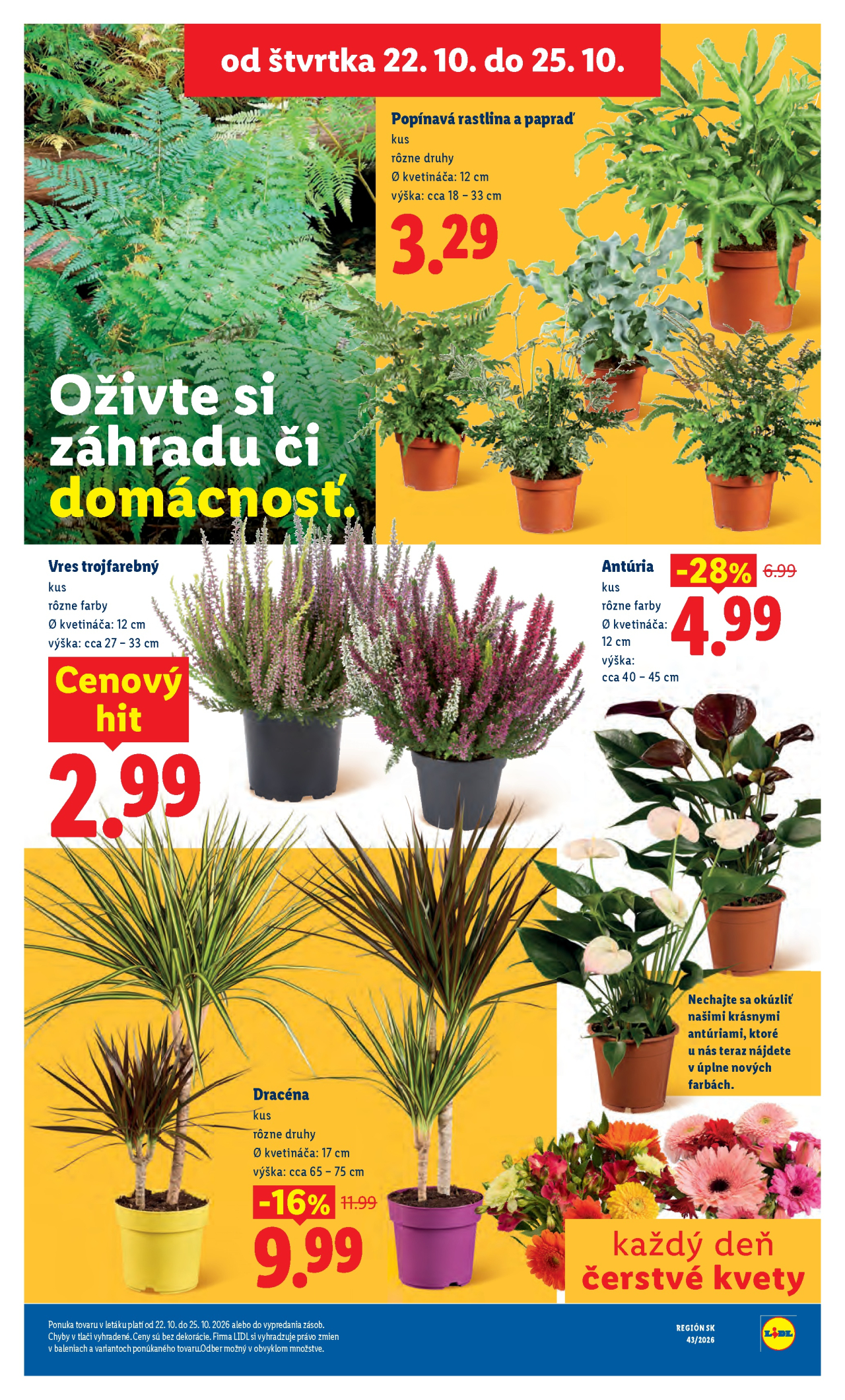 Lidl leták