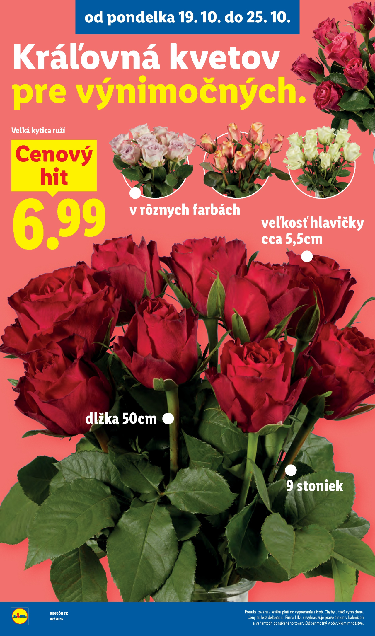 Lidl leták